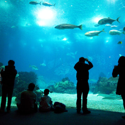 things to do in Lisbon with kids