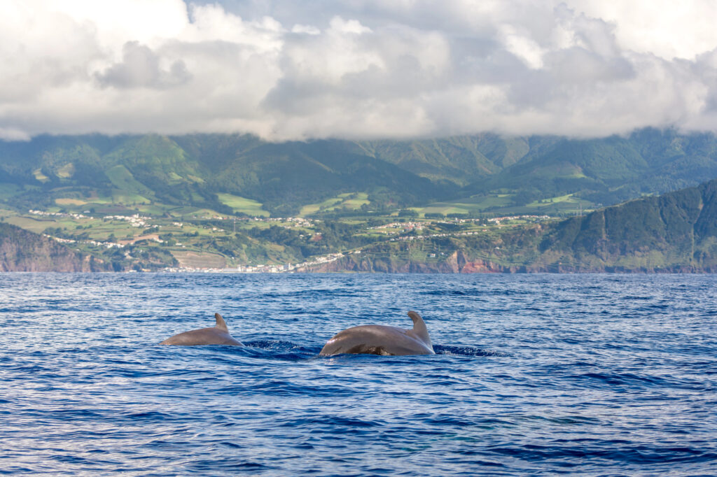 best things to do in the Azores with kids